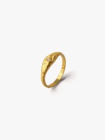 Dourado Dourado