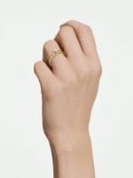 Dourado Dourado