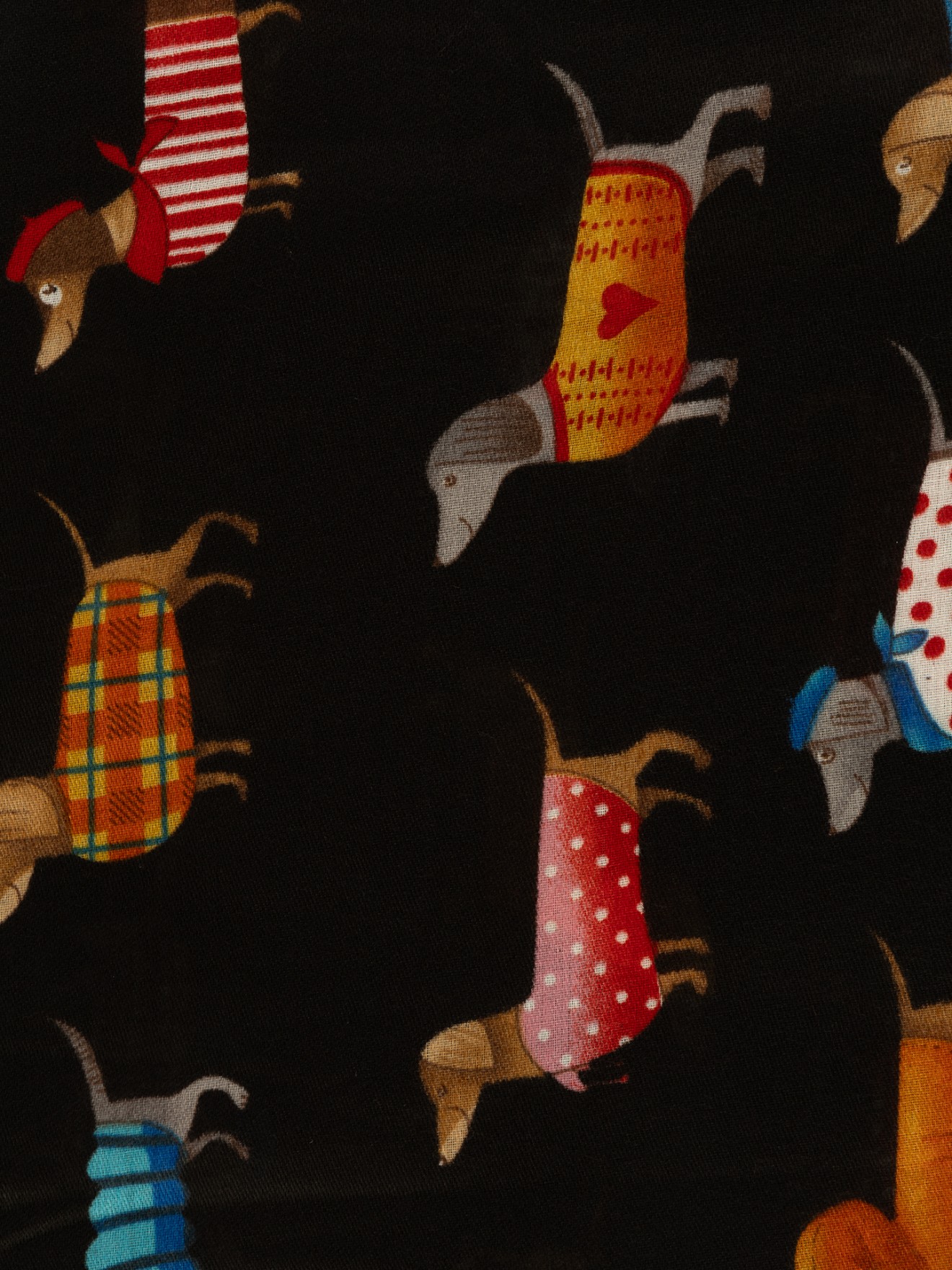 Écharpe com Estampado de Cães