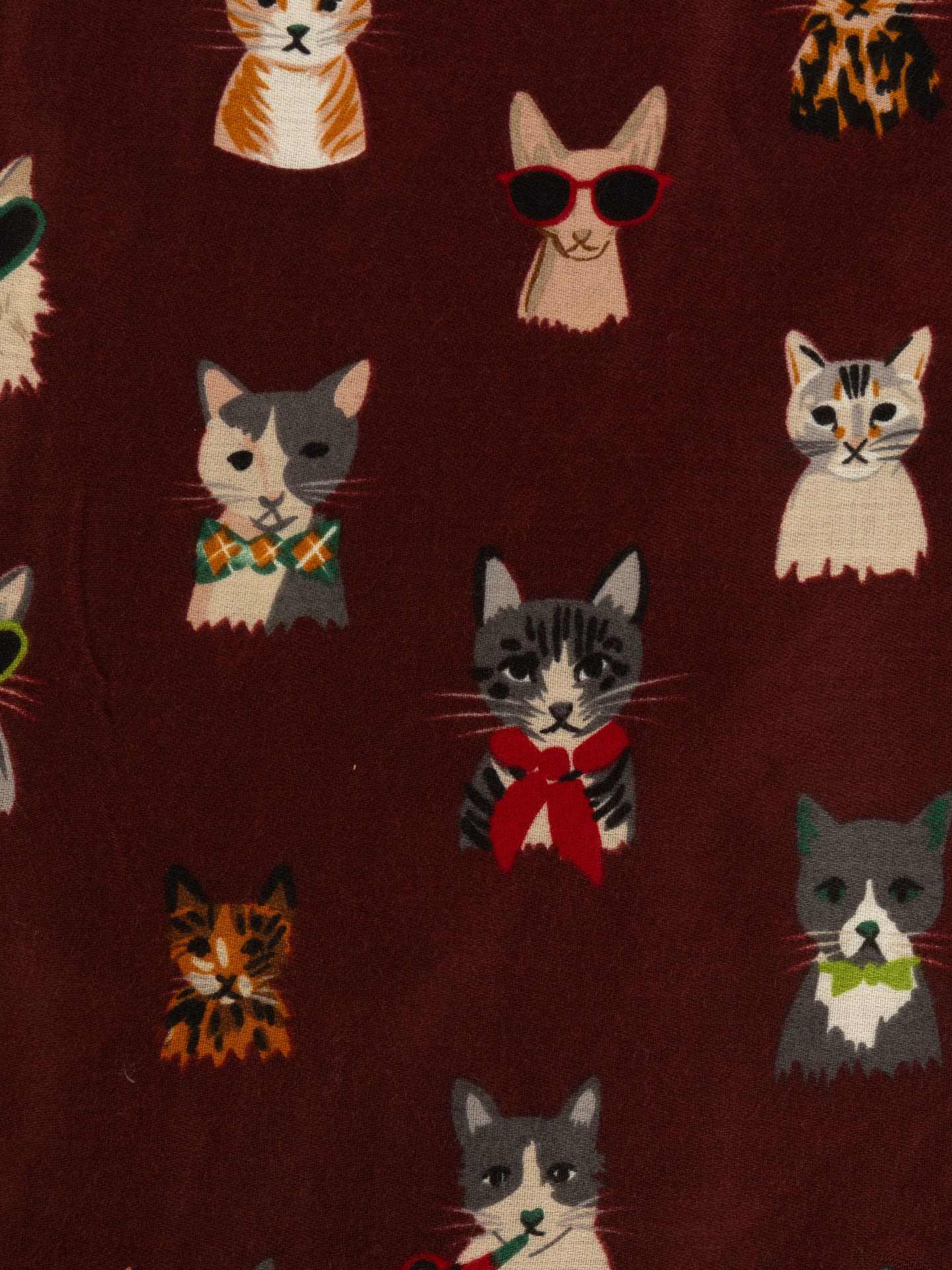 Écharpe com Padrão de Gatos
