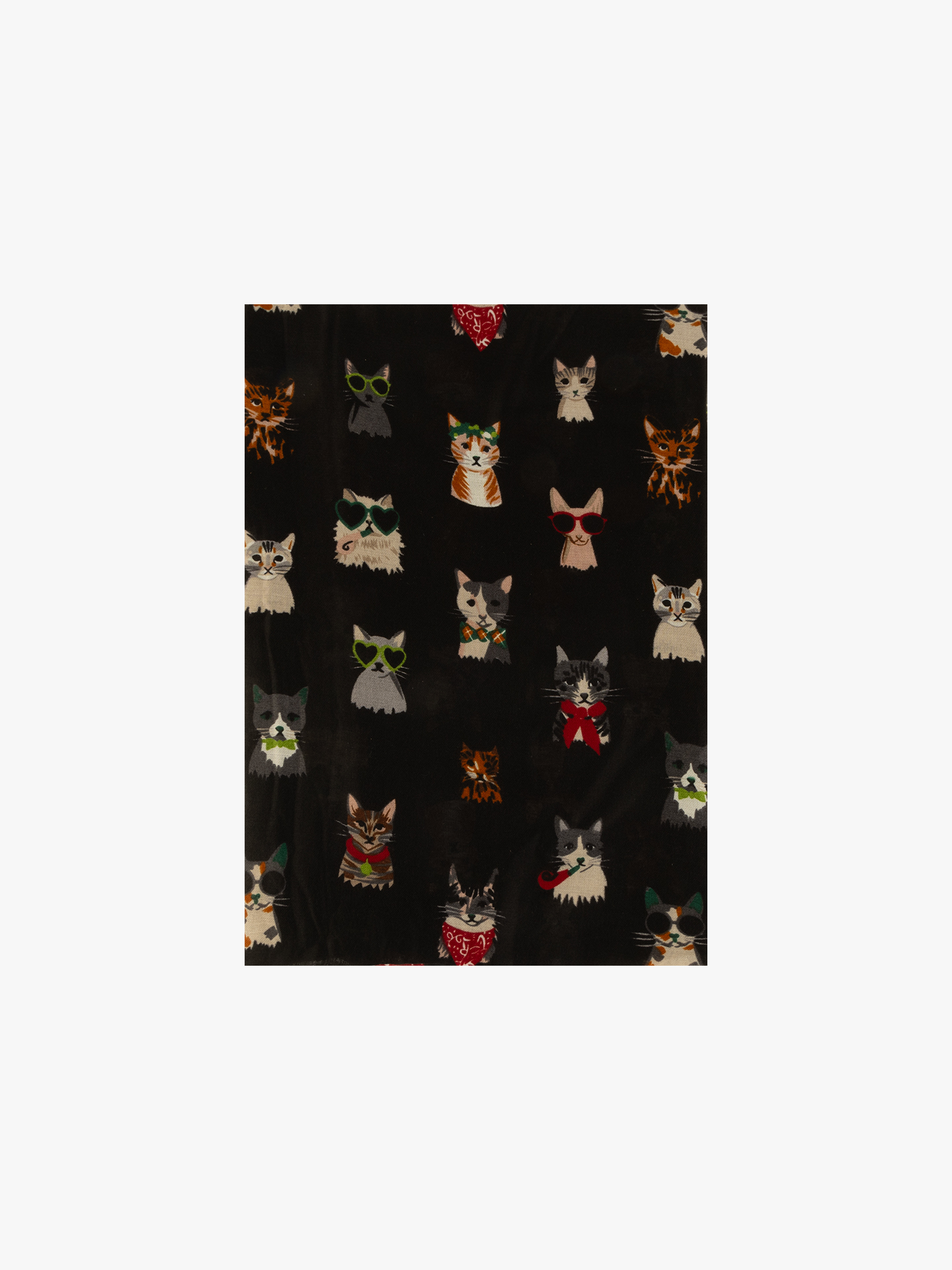 Écharpe com Padrão de Gatos