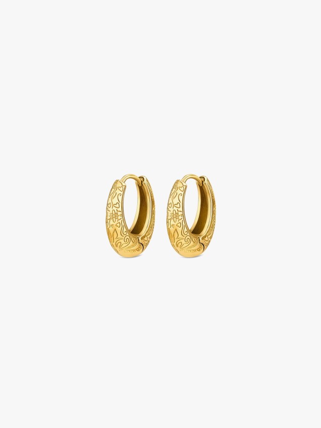 Brincos de Argola Alma Classic Hoop