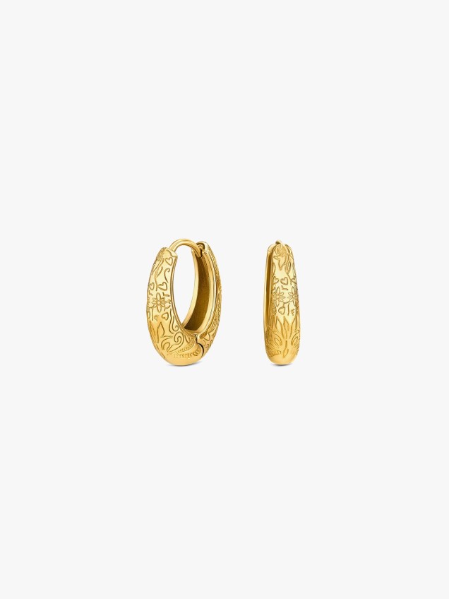 Brincos de Argola Alma Classic Hoop
