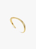 Dourado Dourado