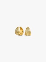 Dourado Dourado