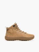 Camel Camel