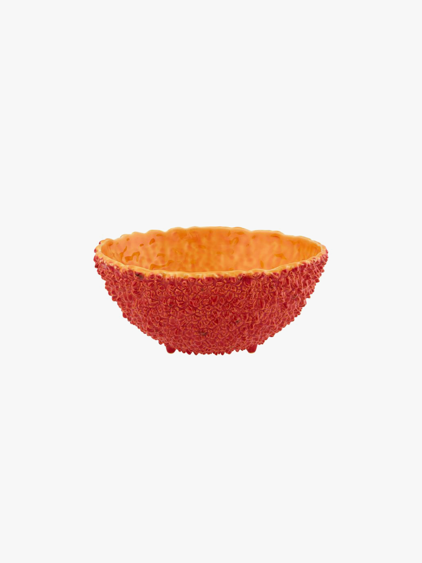 Saladeira Amazónia