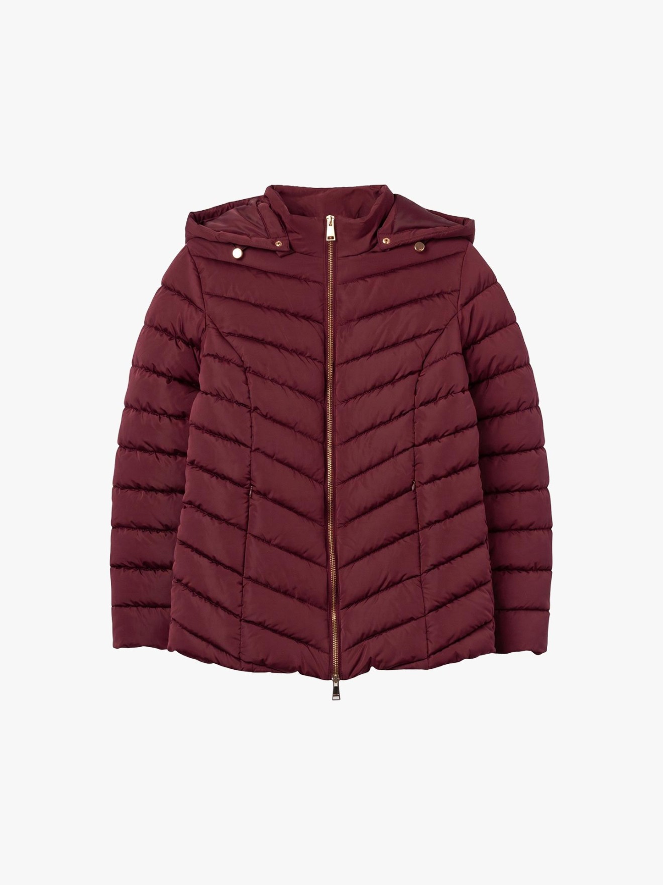 Parka Acolchoada Slim Fit com Capuz